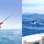The Fisherman’s Paradise: Unraveling the Best Fishing Spots in Florida