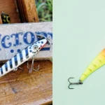 Crankbait vs jerk bait: Latest Comprehensive Review