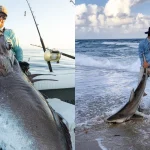Here’s The Latest News about the world-famous Joshua Jorgensen!