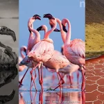 Untitled-design_4_