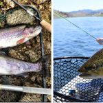 What Is The Best Fishing Line For Trout – Guide