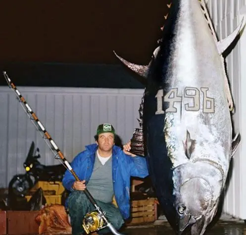 The World’s Most Expensive Fish
