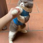 WhatsApp Image 2024-10-24 at 12.36.11_367cf676