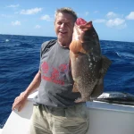 grouper-597378_1280