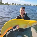 yellow-cat-fish