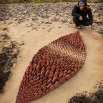 Lapis Folium, 2025 Created on the beach of the gann estuary (Dale)A response to the space betwe