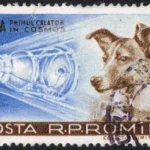 posta_romana_-_1959_-_laika_120_b